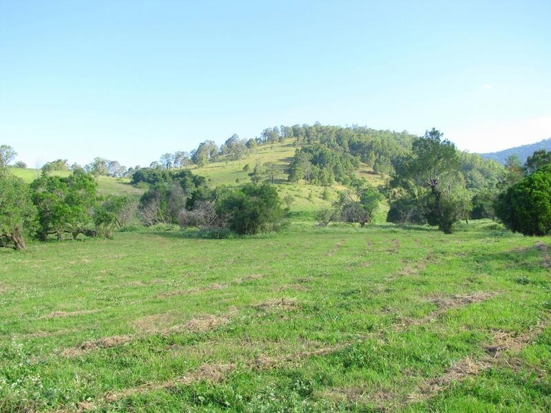 Charity Creek NSW 2424