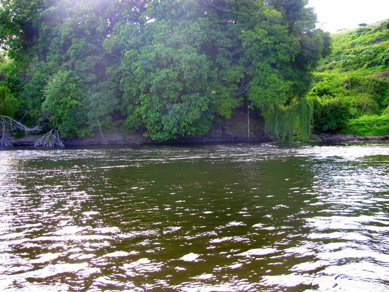 Charity Creek NSW 2424