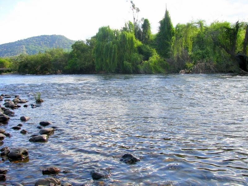 Charity Creek NSW 2424