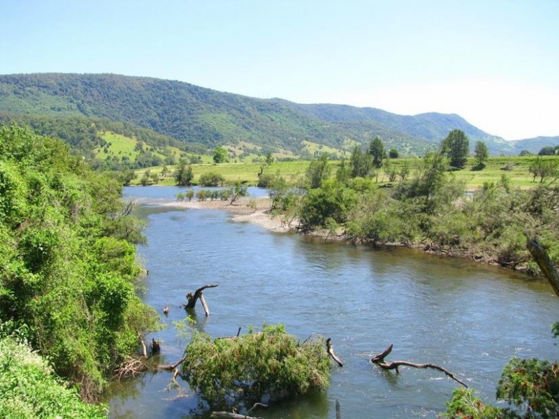 Charity Creek NSW 2424