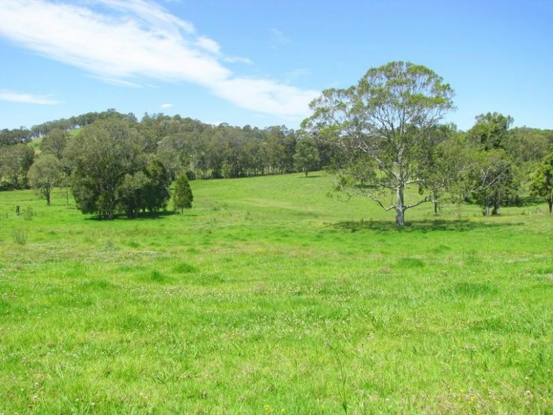 Charity Creek NSW 2424