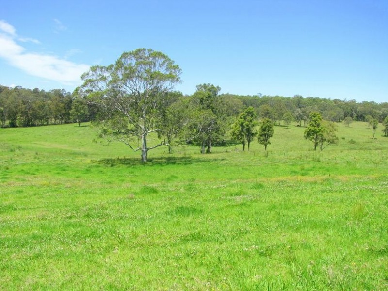 Charity Creek NSW 2424