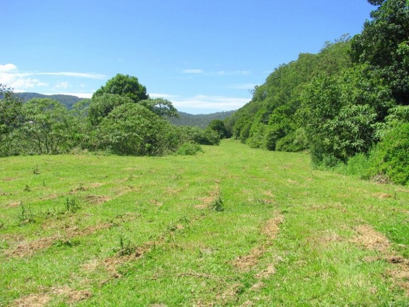 Charity Creek NSW 2424