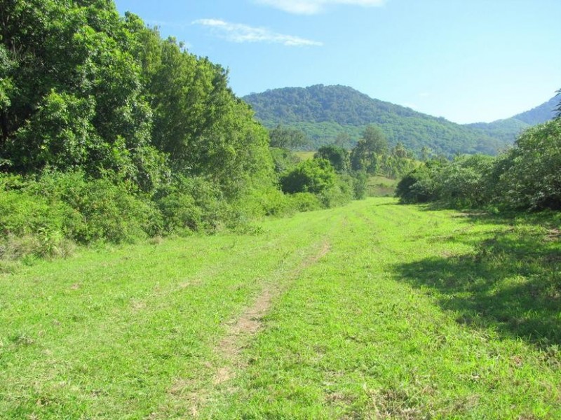 Charity Creek NSW 2424