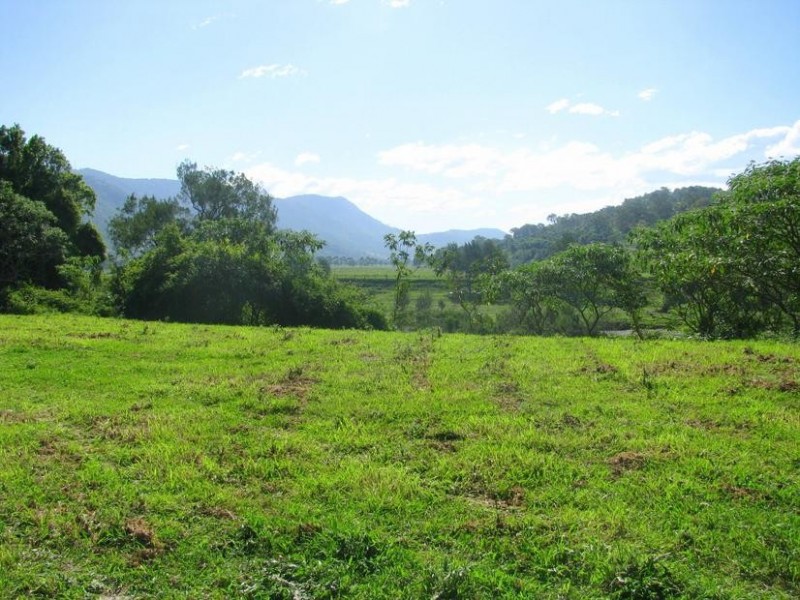 Charity Creek NSW 2424