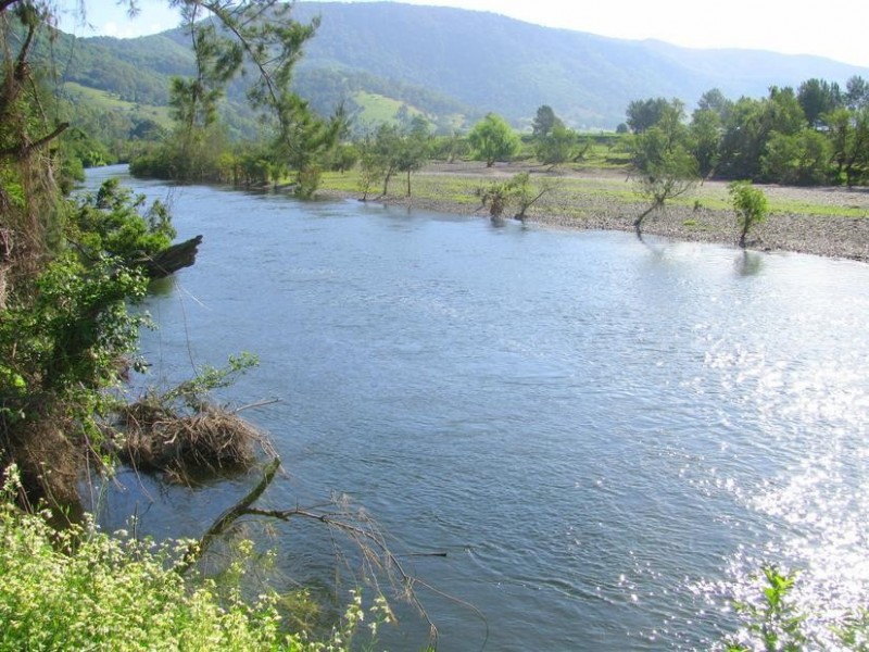 Charity Creek NSW 2424