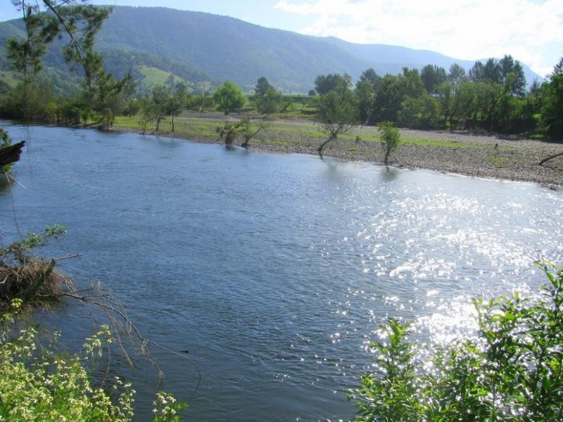 Charity Creek NSW 2424