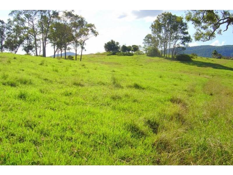 Charity Creek NSW 2424