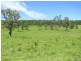 Charity Creek NSW 2424