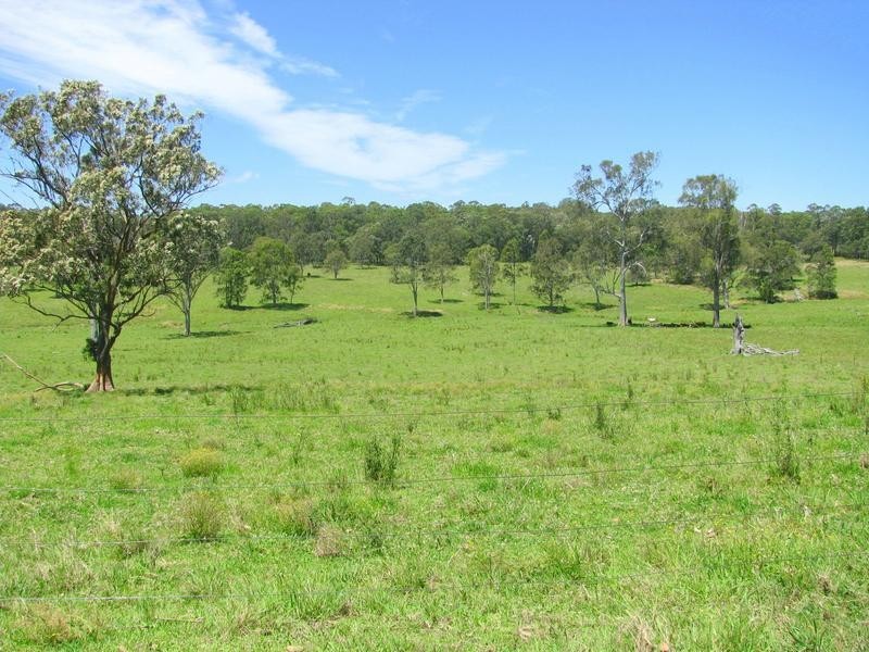 Charity Creek NSW 2424