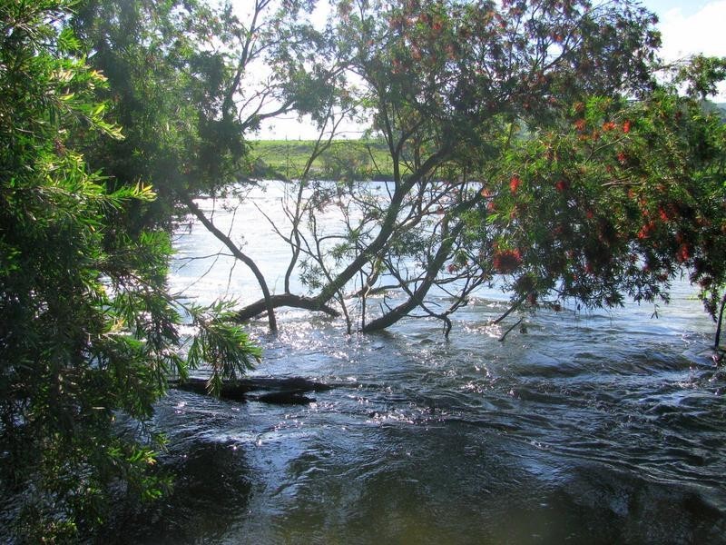 Charity Creek NSW 2424