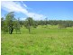 Charity Creek NSW 2424