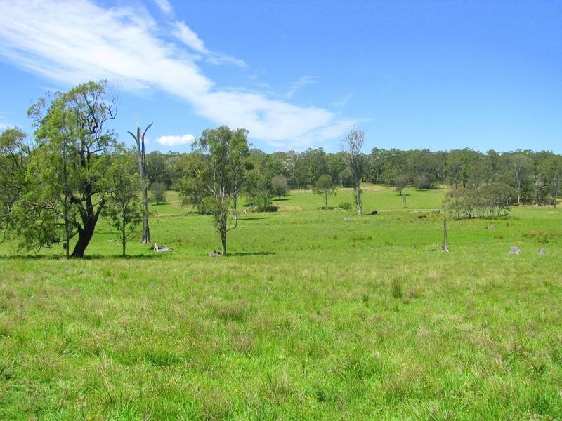 Charity Creek NSW 2424