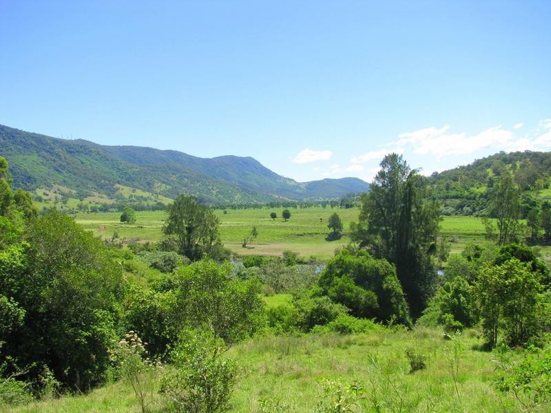 Charity Creek NSW 2424