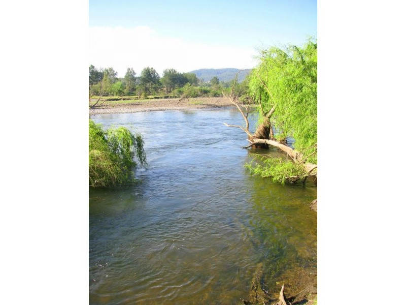 Charity Creek NSW 2424