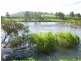 Charity Creek NSW 2424