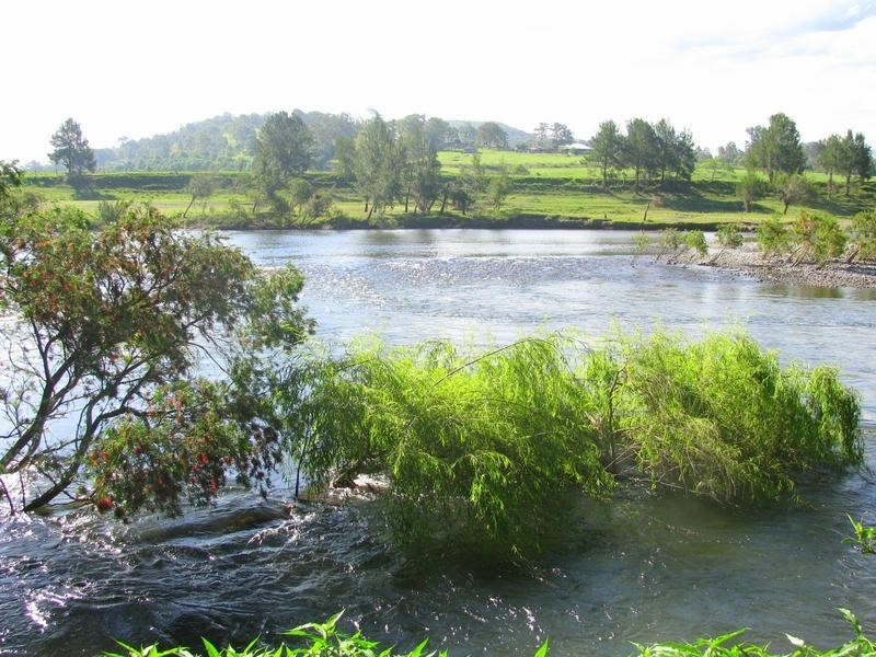 Charity Creek NSW 2424