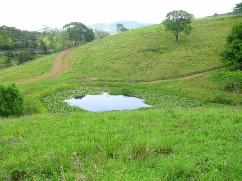 Tugrabakh NSW 2422