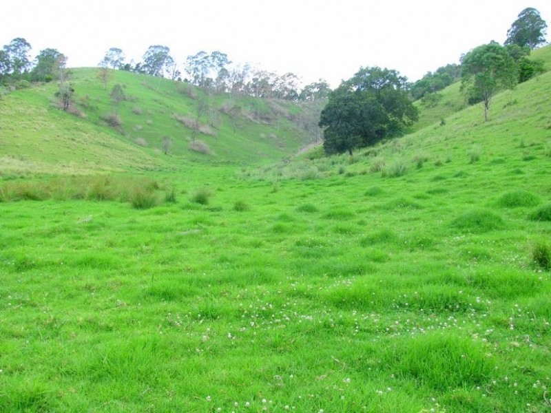 Tugrabakh NSW 2422