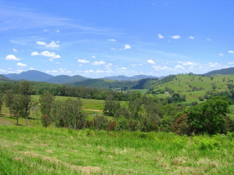 Knorrit Flat NSW 2424