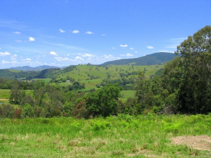 Knorrit Flat NSW 2424