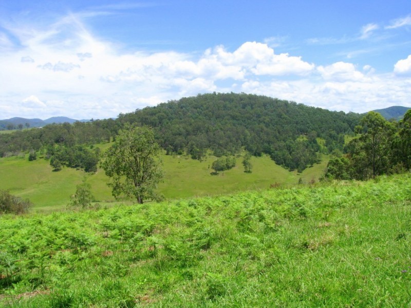 Knorrit Flat NSW 2424