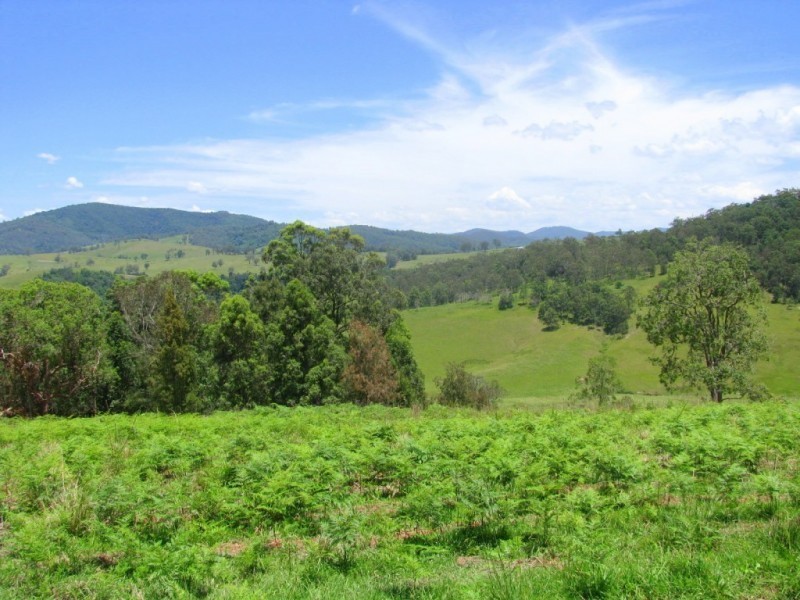 Knorrit Flat NSW 2424