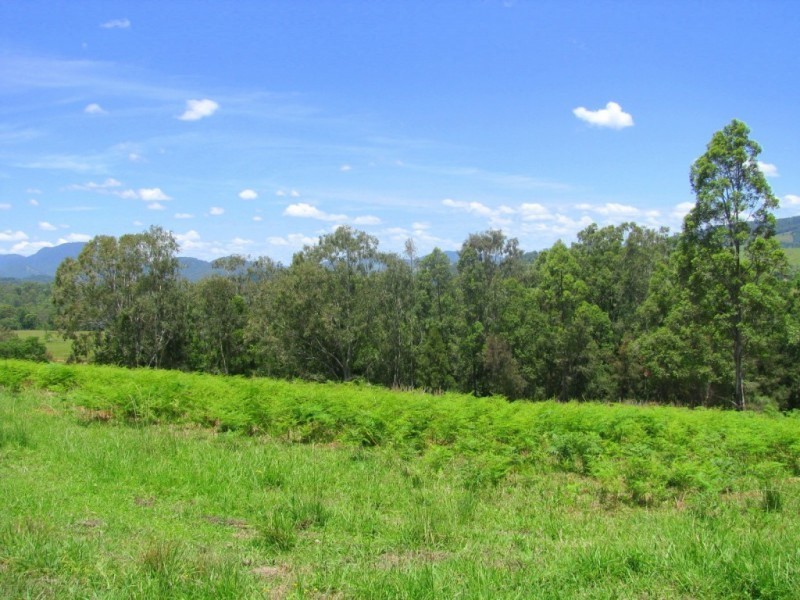 Knorrit Flat NSW 2424