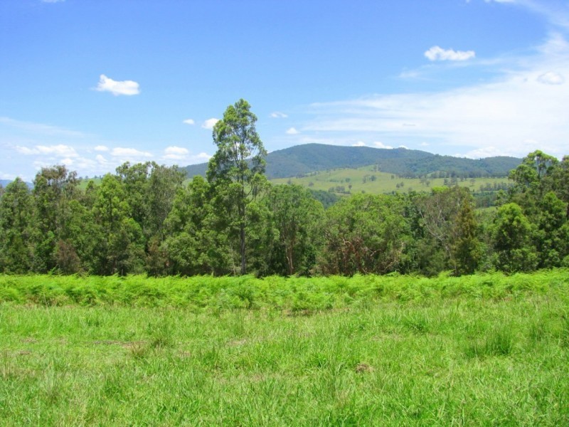 Knorrit Flat NSW 2424