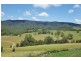 Gloucester NSW 2422