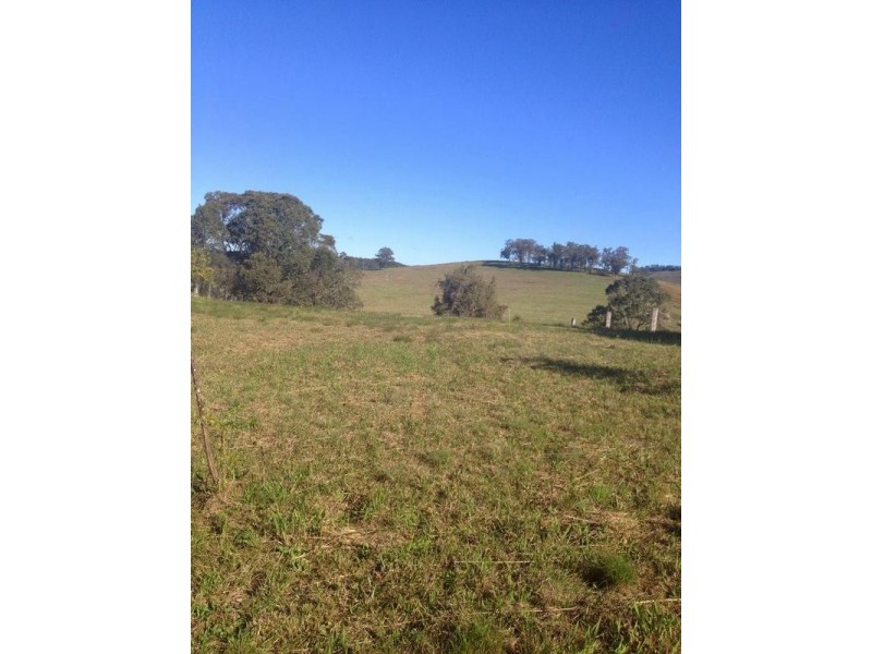 Wards River NSW 2422