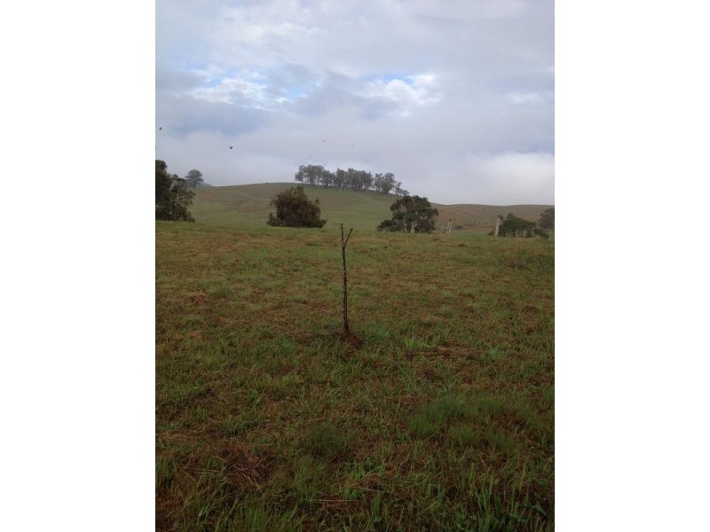 Wards River NSW 2422