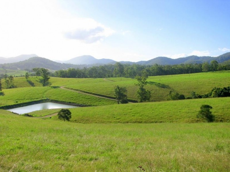 Knorrit Flat NSW 2424