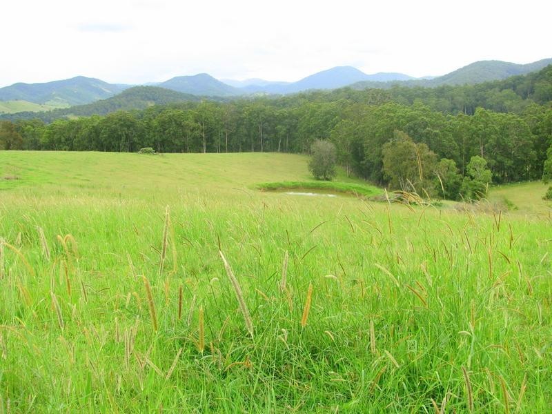 Knorrit Flat NSW 2424