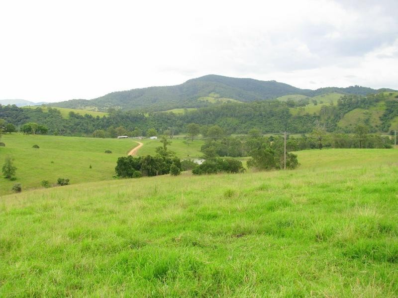 Knorrit Flat NSW 2424