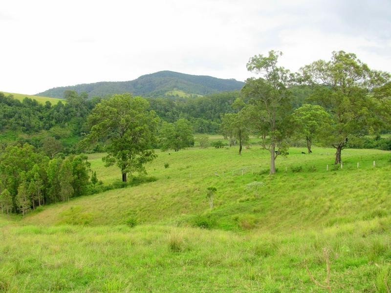 Knorrit Flat NSW 2424