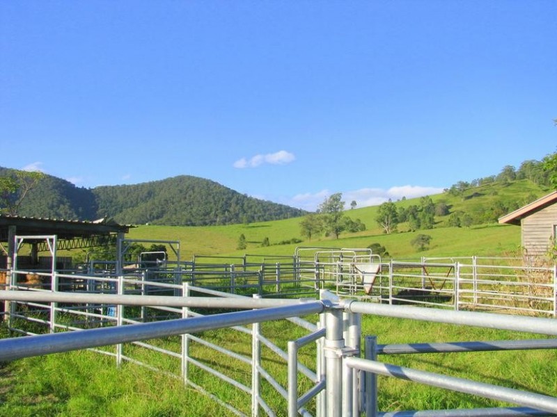 Knorrit Flat NSW 2424