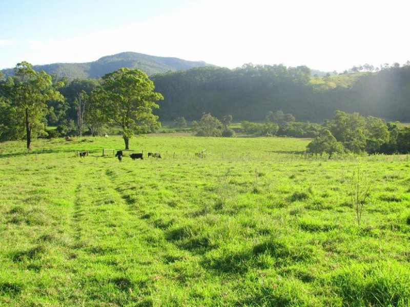 Knorrit Flat NSW 2424