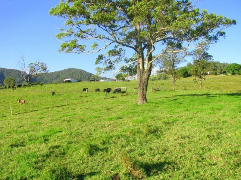 Knorrit Flat NSW 2424