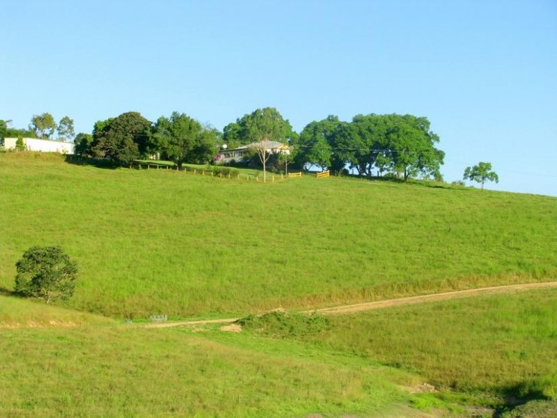 Knorrit Flat NSW 2424