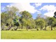 Gloucester NSW 2422