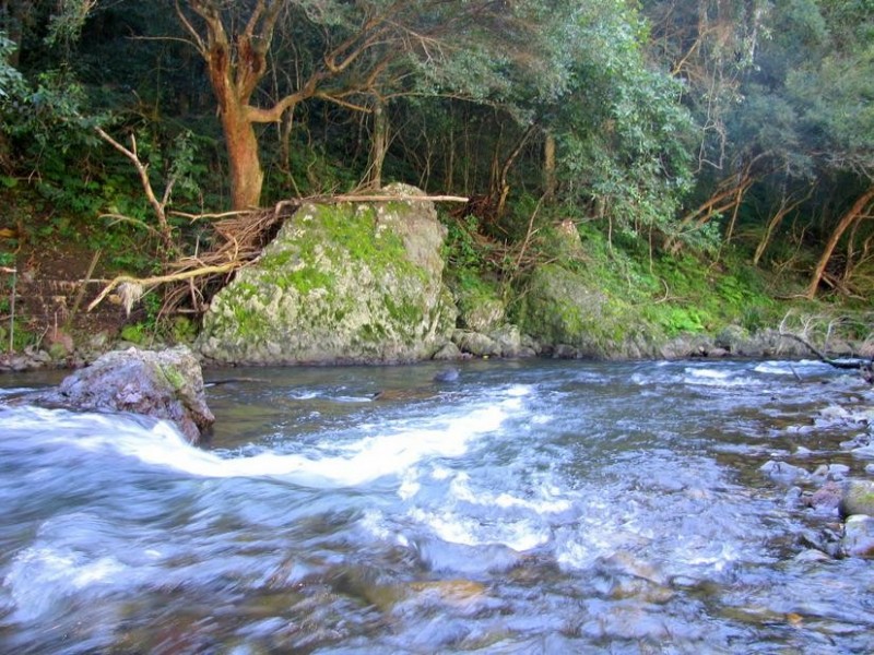 Gloucester NSW 2422