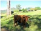 Gloucester NSW 2422