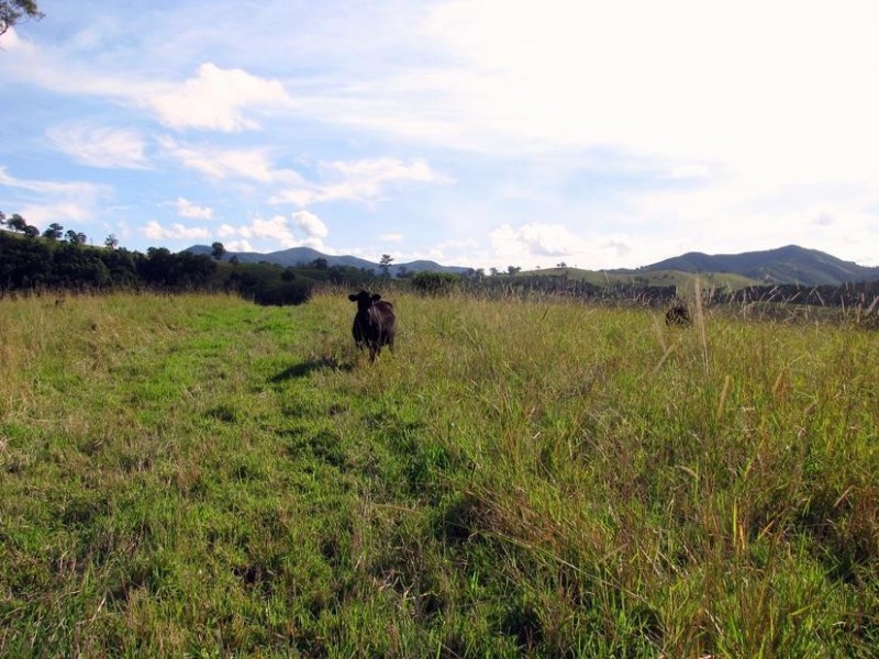 Knorrit Flat NSW 2424