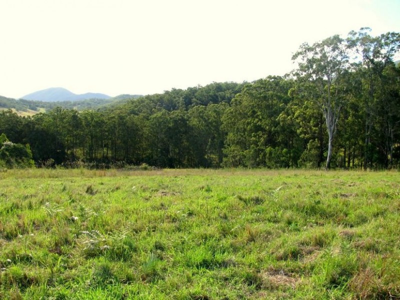 Knorrit Flat NSW 2424