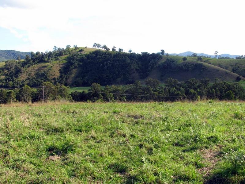 Knorrit Flat NSW 2424