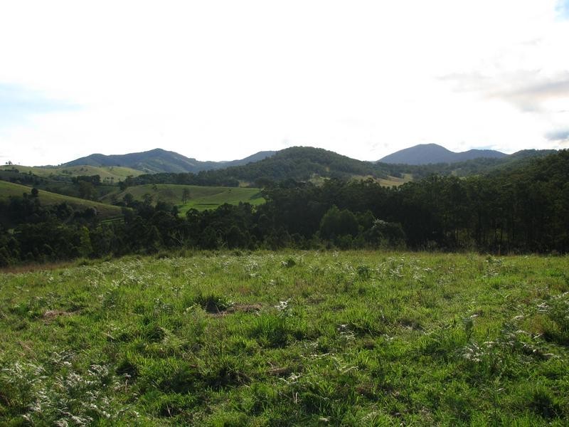 Knorrit Flat NSW 2424