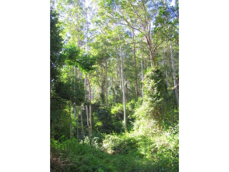 Warranulla NSW 2423