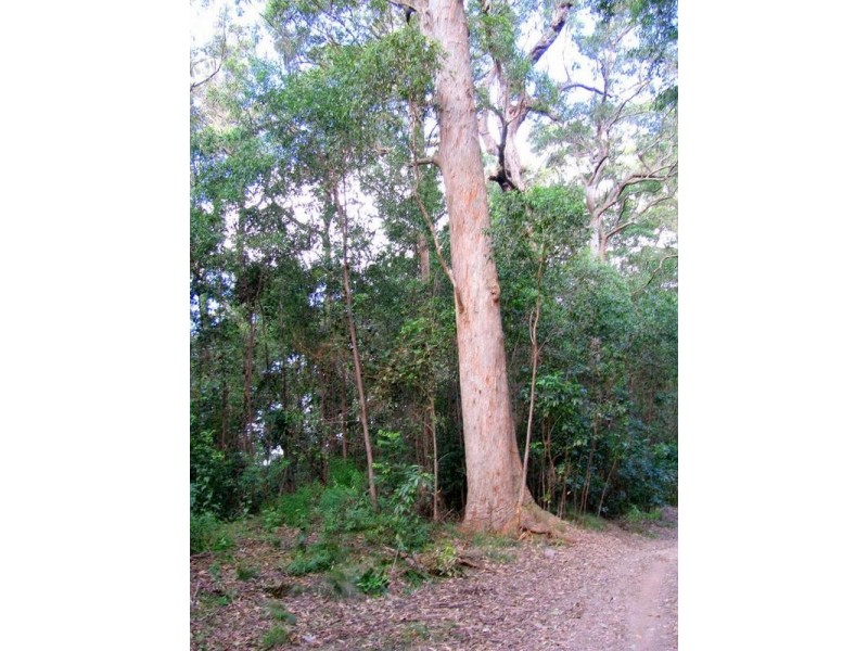 Warranulla NSW 2423