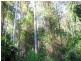 Warranulla NSW 2423